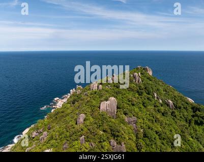 Felsiger Hügel mit üppigem Grün und Blick auf das Meer an einem klaren Tag. Koh Tao, Thailand. Stockfoto