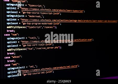 Softwarequellcode. Programmiercode. Programmiercode auf dem Computerbildschirm. Entwickler, der im Büro an Programmcodes arbeitet. Foto des Quellcodes. Technolo Stockfoto