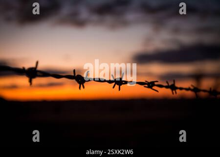 Drahtzaun bei Sonnenuntergang Stockfoto