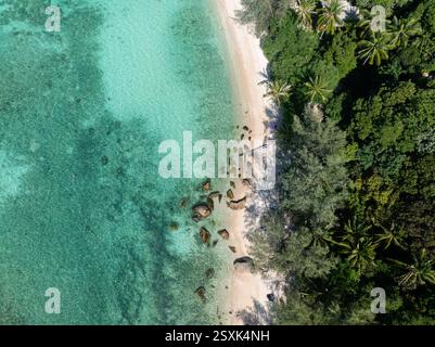 Unberührter tropischer Strand mit klarem, blaugrünem Wasser, sichtbaren Felsen und dichten Palmen am Ufer. Ko Pha Ngan, Thailand. Stockfoto