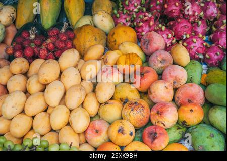 Auswahl an frischen asiatischen exotischen tropischen Früchten und Mangos auf dem Theken auf dem asiatischen Straßenmarkt in Thailand Stockfoto