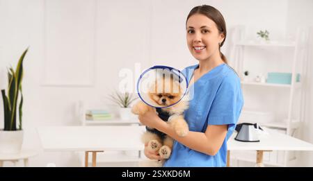 Tierärztin mit Pommerschen Hund mit Kegel und Genesungsanzug nach Sterilisation in der Klinik Stockfoto