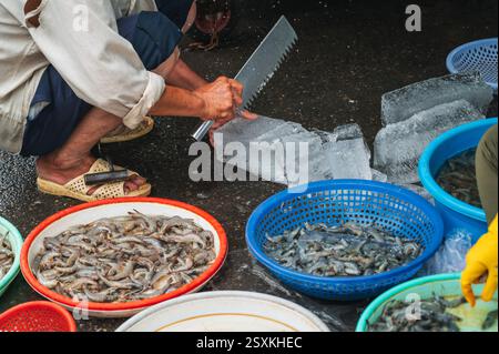 Frische Garnelen und rohe Garnelen auf dem Fischmarkt in Asien Stockfoto