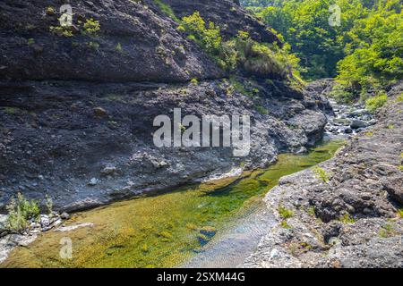 Sedimentgestein in den Schluchten des Garagassa Valley bei Rossiglione in der Provinz Genua, Italien Stockfoto