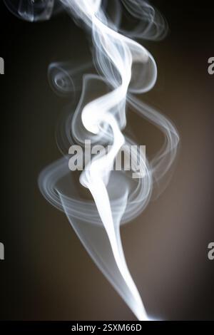 Weißer Rauch, der elegant vor dunklem Hintergrund wirbelt, schwingt anmutig durch die Luft und erzeugt komplizierte Muster, fließende Bewegungen Stockfoto