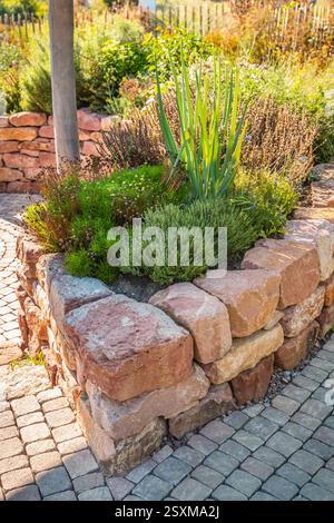Ein moderner Gemüsegarten mit erhöhten Ziegelbeeten. Hochbeete im Gartenbau im urbanen Garten, der Pflanzen und Gemüse anbaut Stockfoto