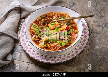 Gesunde Kohlsuppe mit Fleischbällchen, Pilzen und grünen Zwiebeln, Sauerkrautsuppe Stockfoto