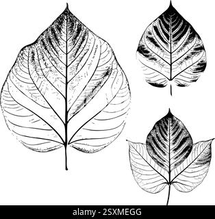Detailreiche Blattblätter skizzieren Handzeichnungen Stock Vektor