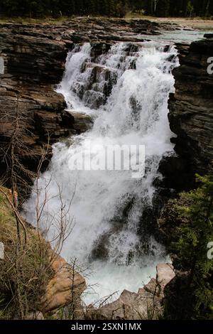 Ein atemberaubender Wasserfall fällt über eine felsige Klippe, umgeben von üppigem Grün und strukturierten Steinen, und schafft eine ruhige natürliche Szene Stockfoto