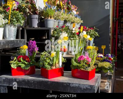 Farbenfrohe Blumenarrangements erhellen einen geschäftigen Markt im Frühling Stockfoto