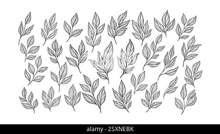 Feder Blatt Zweig lineare Kritzelkunst Illustration Stock Vektor