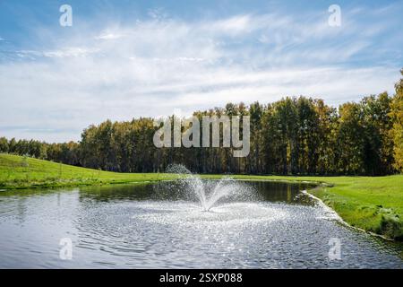 Ein ruhiger und ruhiger Teich mit einem wunderschönen Brunnen inmitten einer üppigen grünen Landschaft Stockfoto