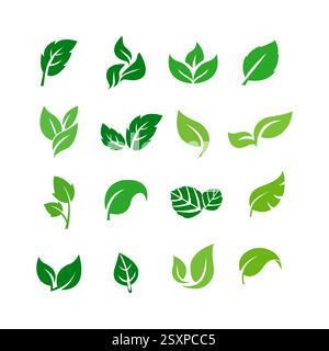 Grüne Farbe Blatt Vektor Logo flache Symbolsatz. Isolierte Leaves auf weißem Hintergrund. Biopflanzen- und Baumblütenwald-Konzeptdesign Stock Vektor