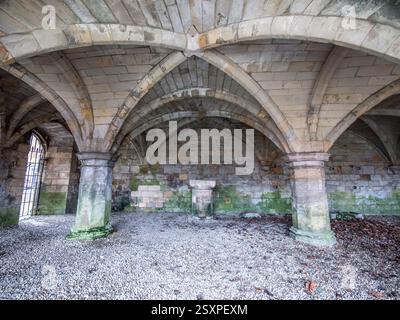 Das Bild zeigt die Ruinen aus dem 12. Jahrhundert und die Überreste des mittelalterlichen Krankenhauses des St Leonard's Hospital in North Yorkshire City of York Stockfoto