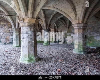 Das Bild zeigt die Ruinen aus dem 12. Jahrhundert und die Überreste des mittelalterlichen Krankenhauses des St Leonard's Hospital in North Yorkshire City of York Stockfoto