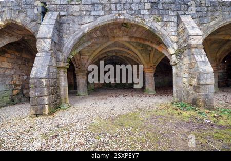 Das Bild zeigt die Ruinen aus dem 12. Jahrhundert und die Überreste des mittelalterlichen Krankenhauses des St Leonard's Hospital in North Yorkshire City of York Stockfoto