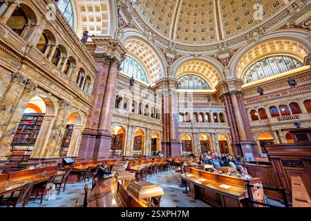 WASHINGTON DC – der Hauptlesungsraum der Library of Congress Thomas Jefferson Building verfügt über eine prächtige Kuppeldecke mit Edwin Blashfields allegorischen Gemälden, die Länder darstellen, die zur westlichen Zivilisation beigetragen haben. Acht riesige Marmorsäulen tragen 10 Fuß hohe Gipsfiguren, die Religion, Handel, Geschichte, Kunst, Philosophie, Poesie, Recht und Wissenschaft. Der zentrale Leseraum darunter enthält in konzentrischen Kreisen angeordnete Forscherpulte unter dem 1897 fertiggestellten architektonischen Meisterwerk. Stockfoto