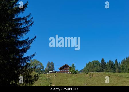 Erleben Sie die ruhige Schönheit einer alpinen Landschaft mit azurblauem Himmel, üppigen immergrünen Wäldern und ruhigen Weiden. Dieser pulsierende Sommerberg Stockfoto