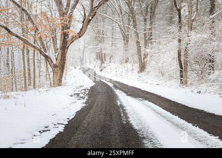Winterszene auf dem Land mit Straße Stockfoto