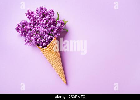 Eiswaffelkegel mit violetten Fliederblüten auf violettem Pastellhintergrund, kreatives Layout, Kopierraum. Frühling, Muttertag, Valentinstag, Bachelor Stockfoto