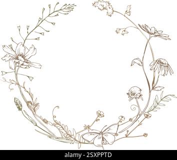 Feld, Wiese, wilde Blumen und Kräuter Kosmos, Kamille, Klee und Insekten. Strichgrafik ist eine einfache handgezeichnete Illustration in beige, ockerfarbene und braune Tinte Stock Vektor