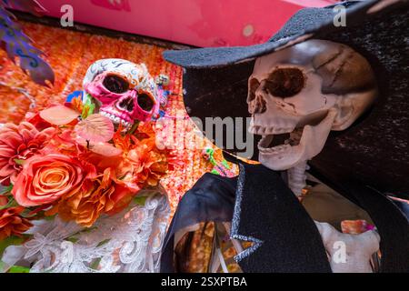 Zwei künstliche menschliche Schädel und farbige künstliche Rosen für Halloween-Dekorationen sind in einem Geschäft im historischen Zentrum von Hanoi erhältlich. Hanoi Stockfoto