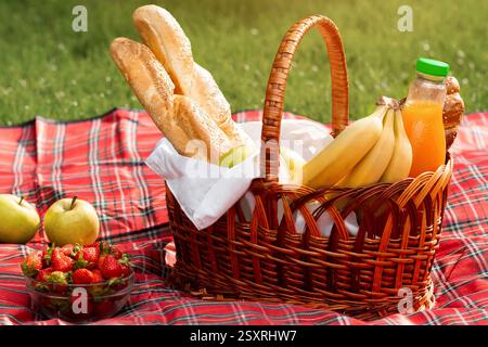 Picknickkorb mit verschiedenen Arten von Lebensmitteln auf karierte Decke im Park, Platz leer Stockfoto