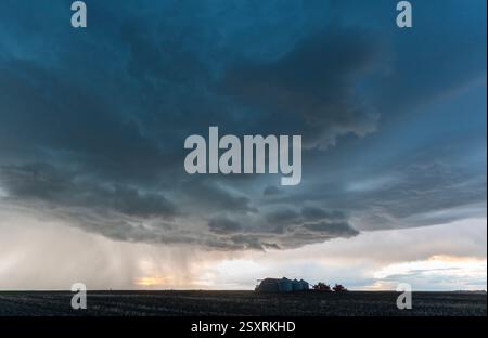 Supercell Gewitter bringt starken Regen über eine Farm bei Sonnenuntergang Stockfoto