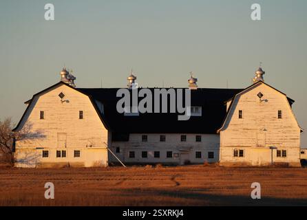 Große, weiße Scheune steht auf einem trockenen Feld, in das warme Licht der untergehenden Sonne getaucht Stockfoto