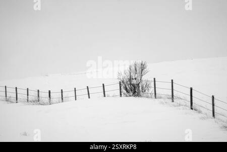 Stacheldrahtzaun schlängelt sich im Winter durch ein schneebedecktes Feld Stockfoto