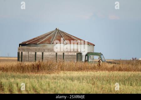 Der alte grüne Pickup steht neben einem Getreidesilo auf einem Feld Stockfoto