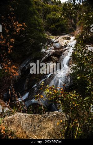 Ein kaskadenförmiger Wasserfall fließt über zerklüftete Felsen in einer üppigen Waldlandschaft. Stockfoto