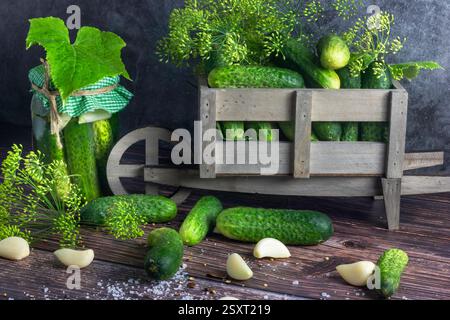 Zubereitung von eingelegten Gurken mit Kräutern, Knoblauch und Dill, hausgemachte Konservierungsstoffe. Natürliche Probiotika, fermentiertes Gemüse Stockfoto