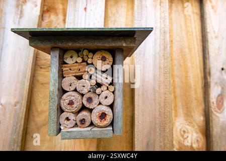 Ein Bienenhotel, Insektenhotel oder Insektenhotel, das auf einem Holzzaun in einem Sydney-Garten in Australien installiert ist und viele der Löcher mit einheimischen Bienen gefüllt sind Stockfoto