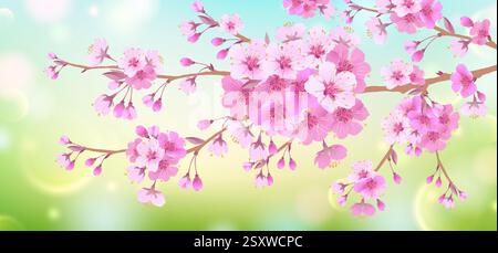 Frühling weicher Hintergrund mit einem Zweig von Kirschblüten. Blühende Kirschblüten. Natürliches Design. Stock Vektor