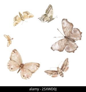 Schmetterlinge Monarch und andere fliegen auf weißem Hintergrund. Set aus zarten, süßen beigefarbenen, braunen Schmetterlingen. Handgezeichnete Aquarellillustration auf isoliertem Stockfoto