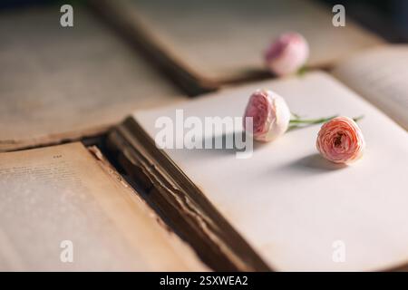 Offene Bücher und schöne Blumen, Nahansicht Stockfoto