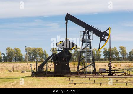 Kürbis bei Neuendorf, Halbinsel Gnitz, Insel Usedom, Mecklenburg-Vorpommern, Deutschland Stockfoto