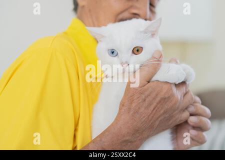 Ein älterer Mann hält ein kleines weißes Kätzchen in den Händen, Liebe, Pflege. Rentner und Tiere Haustiere Konzept. Stockfoto