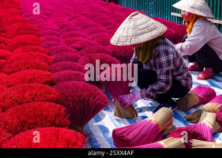 Lokale Frauen mit konischen Hüten arrangieren rote dünne Bambusstäbchen in Bündeln, um Räucherstäbchen zu machen und trocknen sie nach dem Färben in der Sonne. Stockfoto