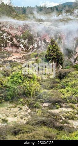 Krater des Mondes Thermalwanderung innerhalb der Taupo Vulkanzone Nordinsel Neuseeland Stockfoto