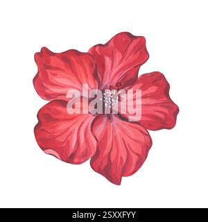 Rote Hibiskus-Blume Aquarell Stilisierte Illustration Stockfoto