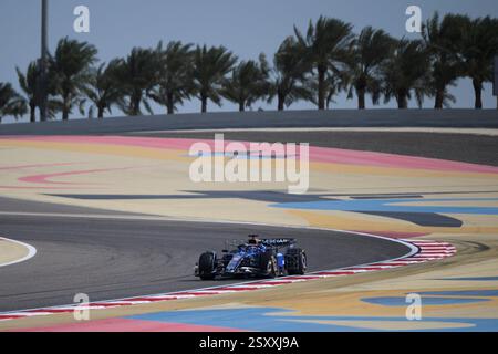 Sakhir, Bahrain. Februar 2025. Alexander Albon von Williams Racing während des Testtages 1. Ahmad Al Shehab/Alamy Live News. Stockfoto
