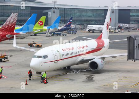 ISTANBUL, TÜRKEI - 1. MÄRZ 2024: Arbeiter kümmern sich um die Boeing 737-800 der Air Algerie Airline am Flughafen Istanbul in der Türkei. Stockfoto