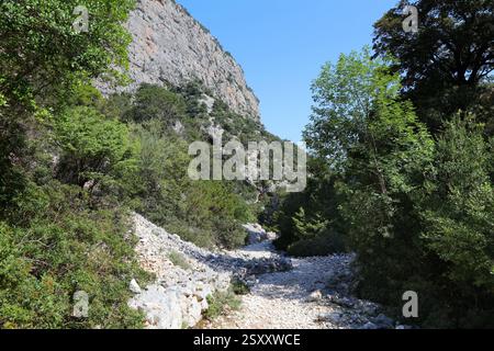 Wanderweg zum Strand Cala Goloritze in Baunei (Provinz Ogliastra) auf Sardinien. Stockfoto