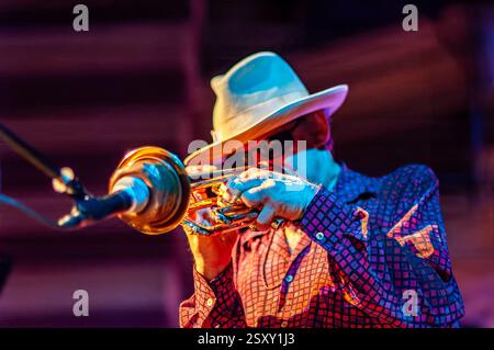 Sanlucar de Barrameda, Spanien, 17. Juli 2004, spielt Jerry Gonzalez leidenschaftlich gedämpfte Trompete während eines Live-Konzerts unter bunten Lichtern. Stockfoto