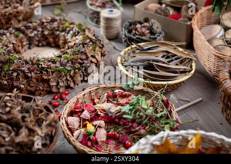 Wunderschön angeordnete natürliche Zutaten und verschiedene Kräuter, die elegant in Körben präsentiert werden Stockfoto