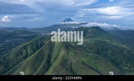 Luftaufnahme der gewundenen Straße durch Green Hills Stockfoto