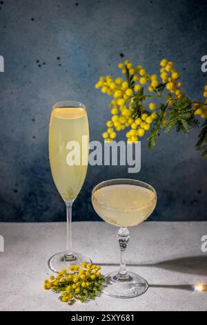 Zwei Gläser Mimosa-Cocktails, garniert mit Mimosa-Blüten, werden auf einem Tisch ausgestellt, die an die erfrischenden Aromen des Frühlings erinnern Stockfoto