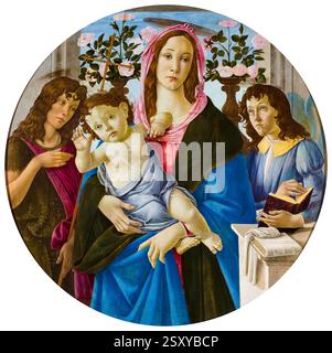 Sandro Botticelli, Madonna mit Kind, Johannes der Täufer und Engel, Gemälde in Staupe an Bord, vor 1510 Stockfoto
